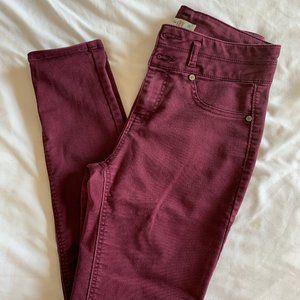 Jeggings - Maroon